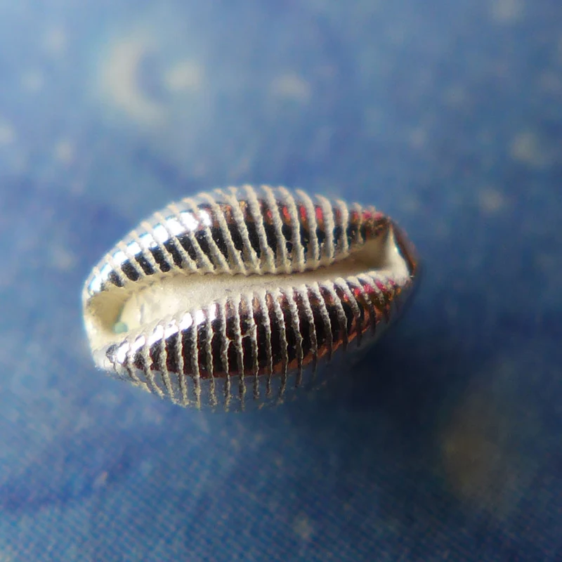 Taucherschmuck Damenschmuck Silber Kauri xs