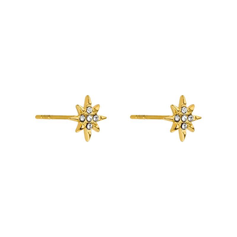 Northern Star Ohrstecker 14K Vergoldet