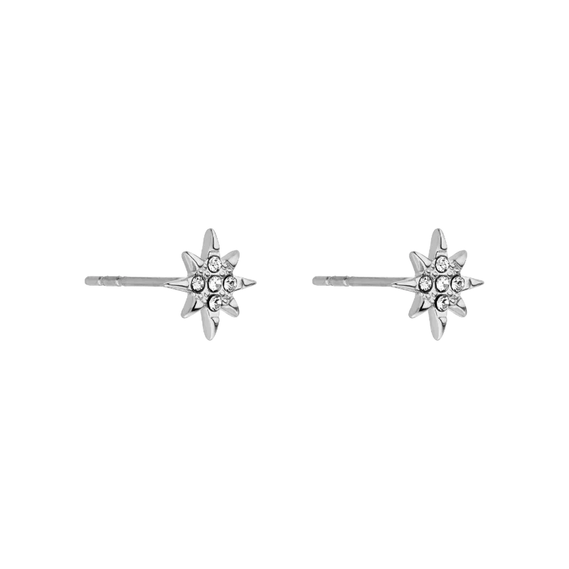 Northern Star Ohrstecker 14K Vergoldet