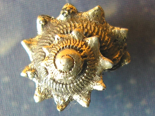 Schneckenschmuck Ohrstecker Sonne xxs