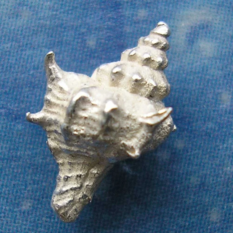 Schneckenschmuck Ohrstecker Herkuleskeule xs