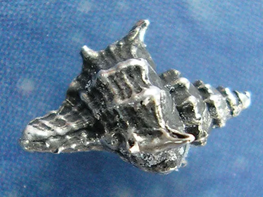 Schneckenschmuck Ohrstecker Herkuleskeule xs