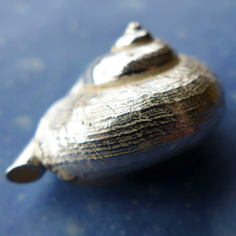 Schneckenschmuck Anhänger Landschnecke Ph