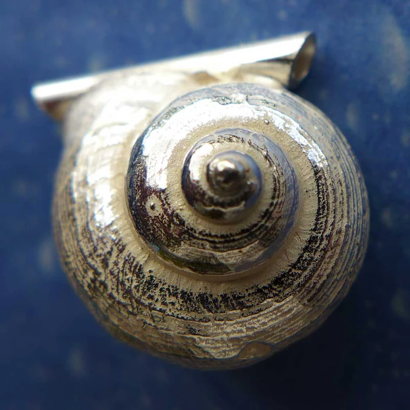 Schneckenschmuck Anhänger Landschnecke Ph