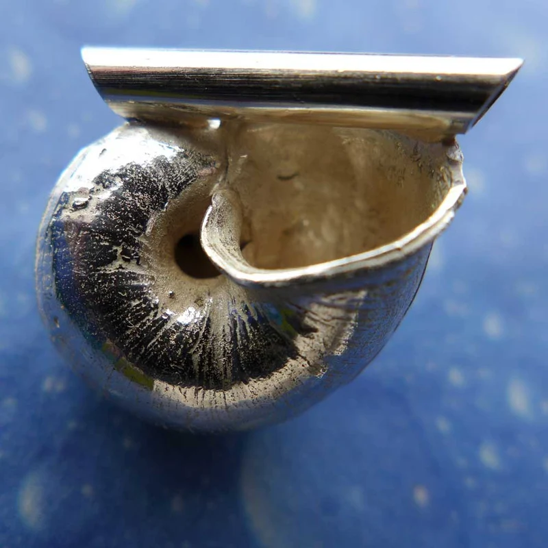 Schneckenschmuck Anhänger Landschnecke Ph