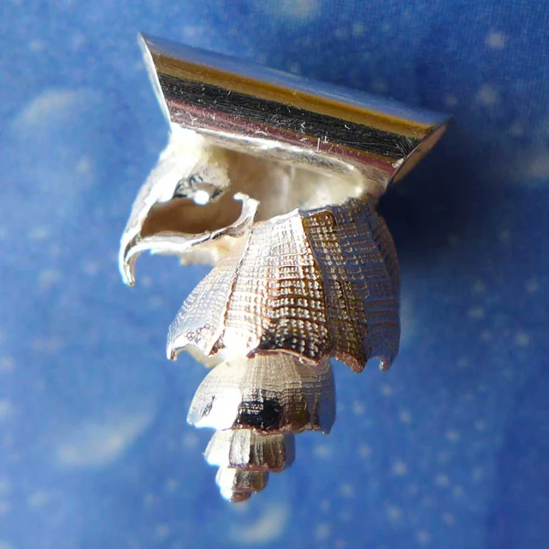 Schneckenanhänger Silber Muskatnuss