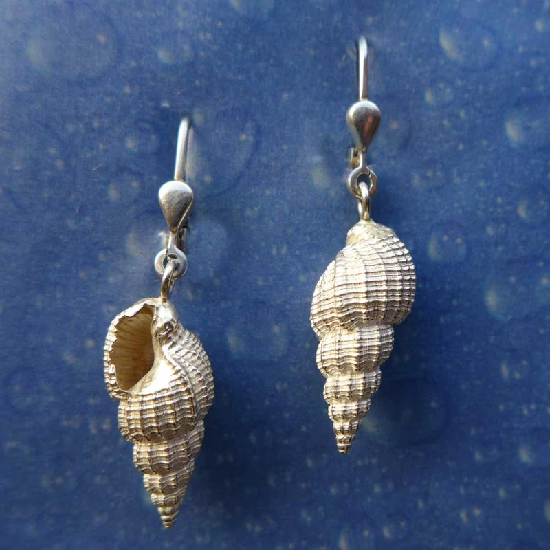 Schnecken Ohrringe Schmuck Dornenschnecke