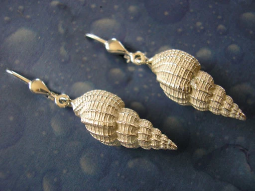 Schnecken Ohrringe Schmuck Dornenschnecke