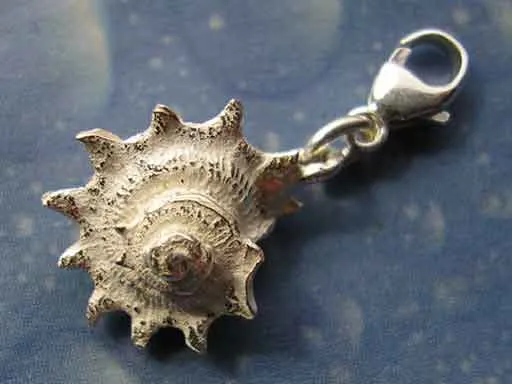 Schnecken Charm Silber Sonne St m