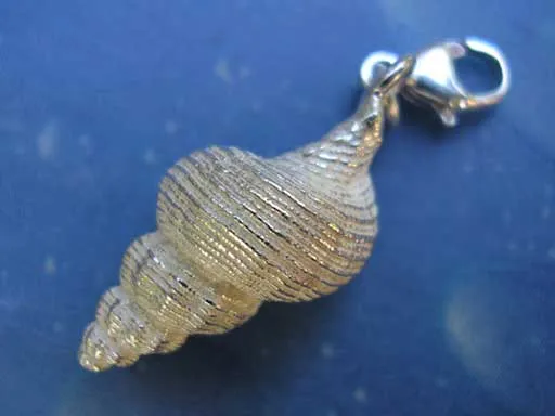 Schnecken Charm Schnecke Latiaxis