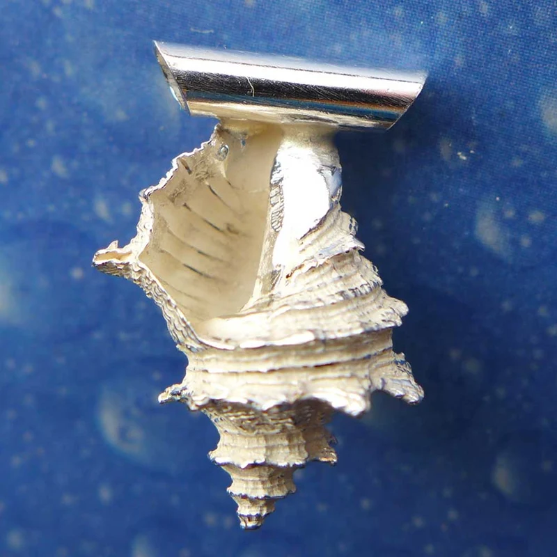 Schnecken Anhänger Silber Felsschnecke
