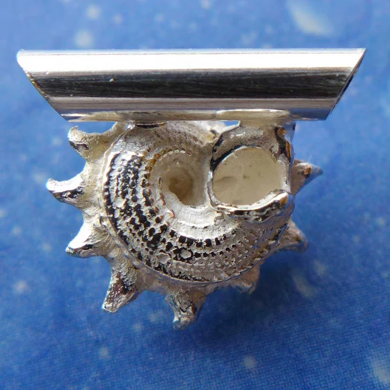 Schnecke Sonne Anhänger Silber m