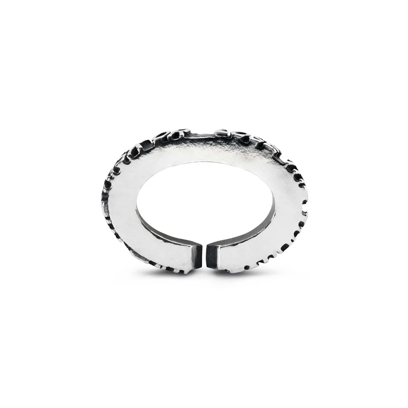 Risk It, Single Silber Link