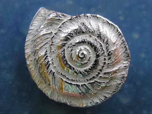 Schmuckdesign Sonnenuhrschnecke Ohrstecker sk xs