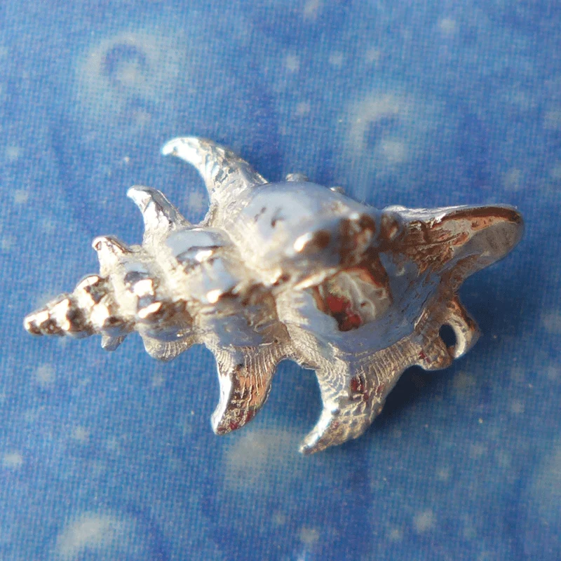 Schmuck vom Meer inspiriert Hakenschnecke
