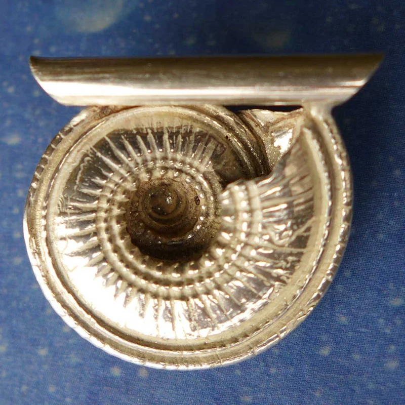 Schmuck Sonnenuhr Schnecke Anhänger m