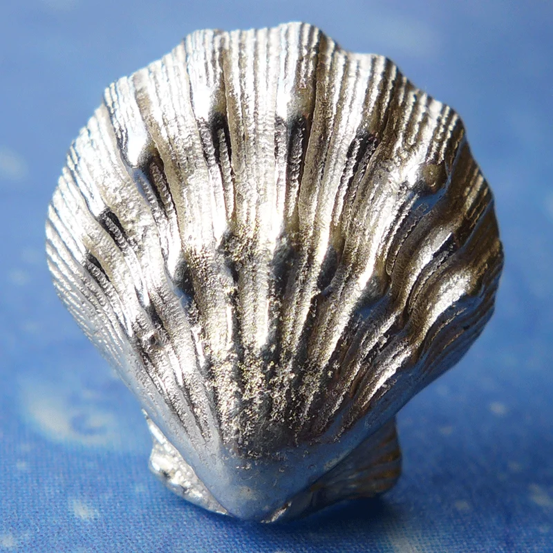 Schmuck Shell Löwenpranke Ohrstecker