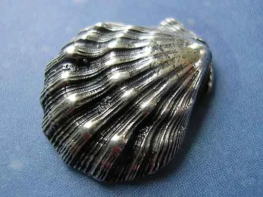Schmuck Shell Löwenpranke Ohrstecker