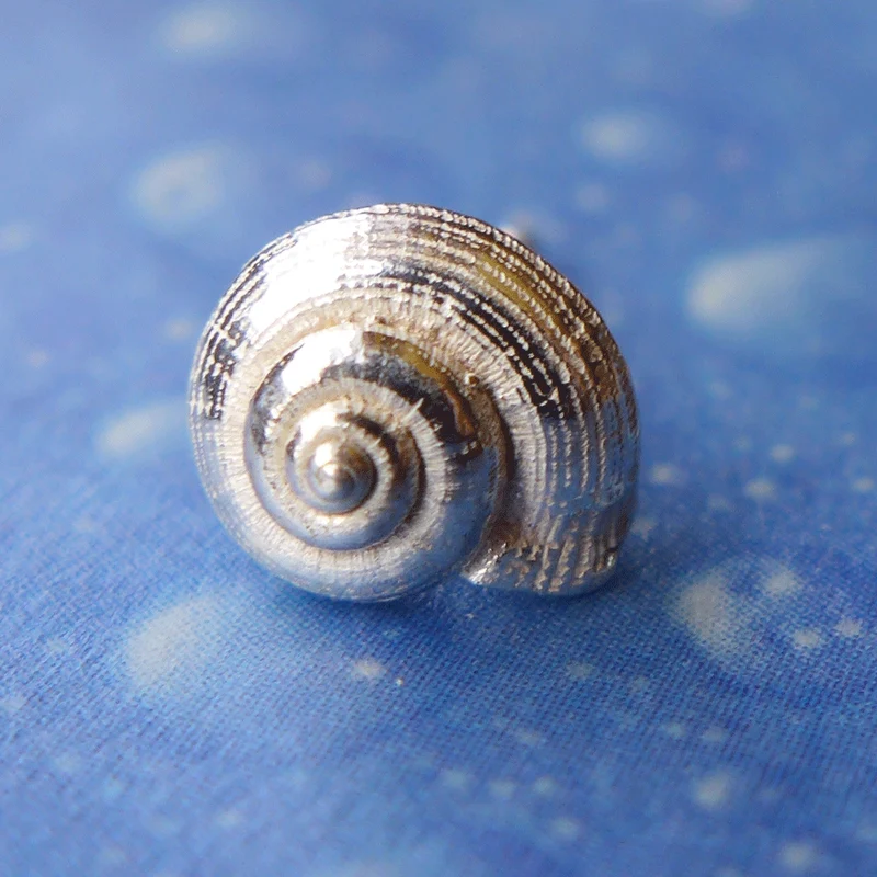 Urlaubs Feeling Schmuck Ohrstecker Schnecke lä