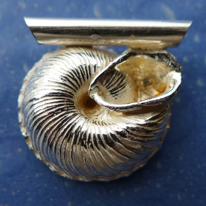 Unterwasser Schnecke Silber Sonnenrad A