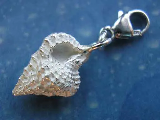Unterwasser Schmuck Silber Tritonshorn xs