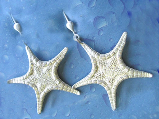 Unterwasser Schmuck Kornstern Ohrhänger