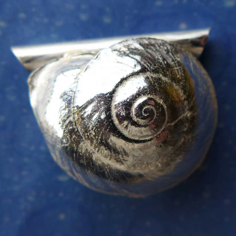 Unterwasser Schmuck Anhänger Knopfschnecke schk