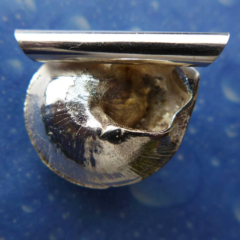Unterwasser Schmuck Anhänger Knopfschnecke schk