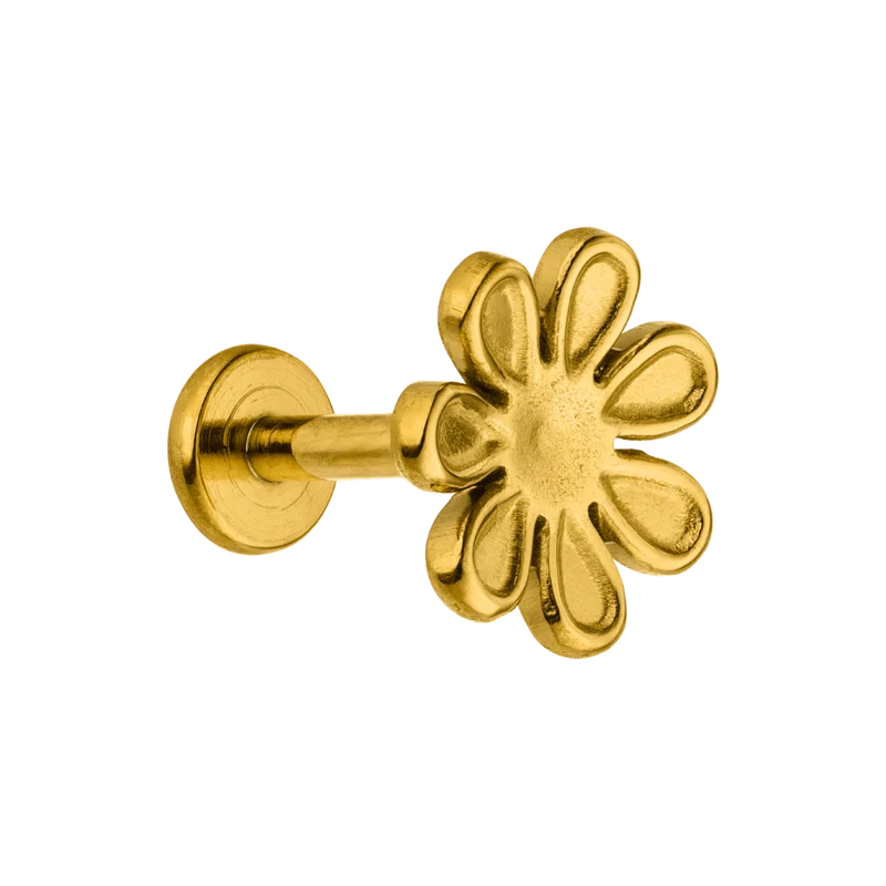 Golden Daisy Labret Piercing - Titan