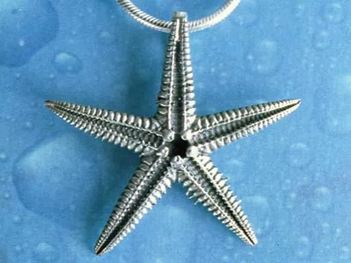 Maritimschmuck Seestern Anhänger l