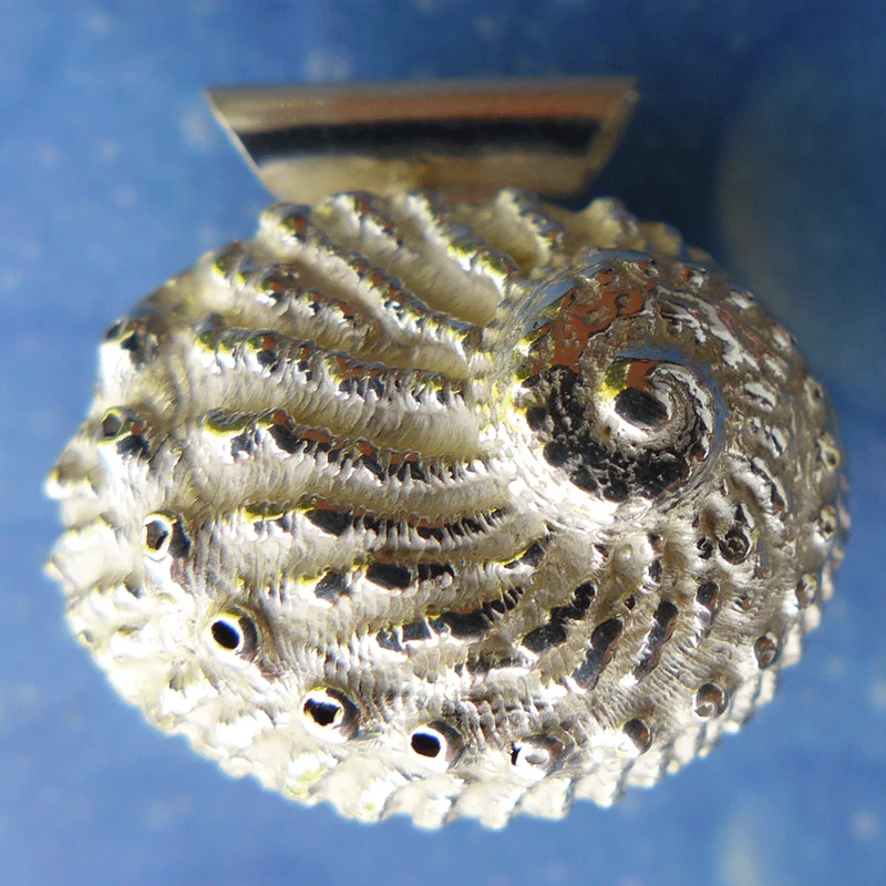 Maritimschmuck Meerohr Rutilquarz