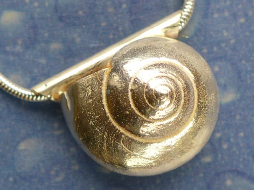 Maritimschmuck Anhänger Knopfschnecke L