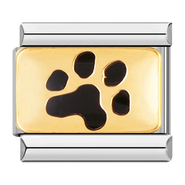 Hunde Pfote