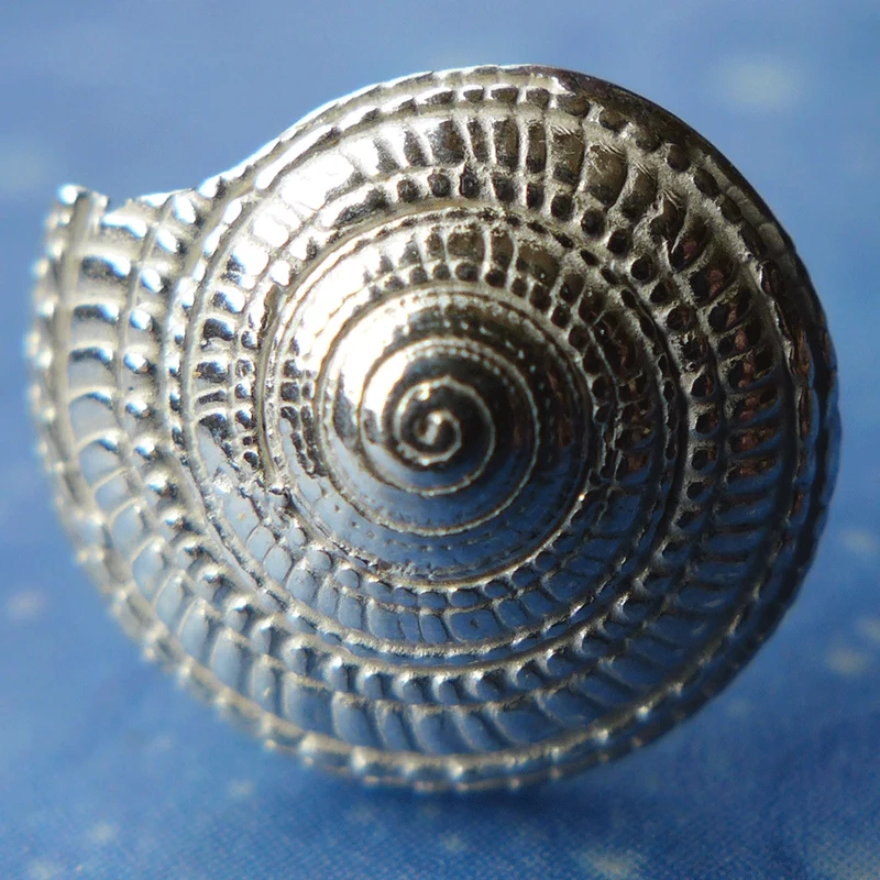 Maritimer Schmuck Sonnenuhrschnecke Ohrstecker s