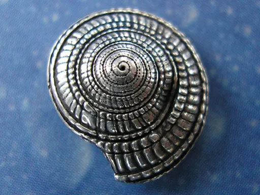 Maritimer Schmuck Sonnenuhrschnecke Ohrstecker s