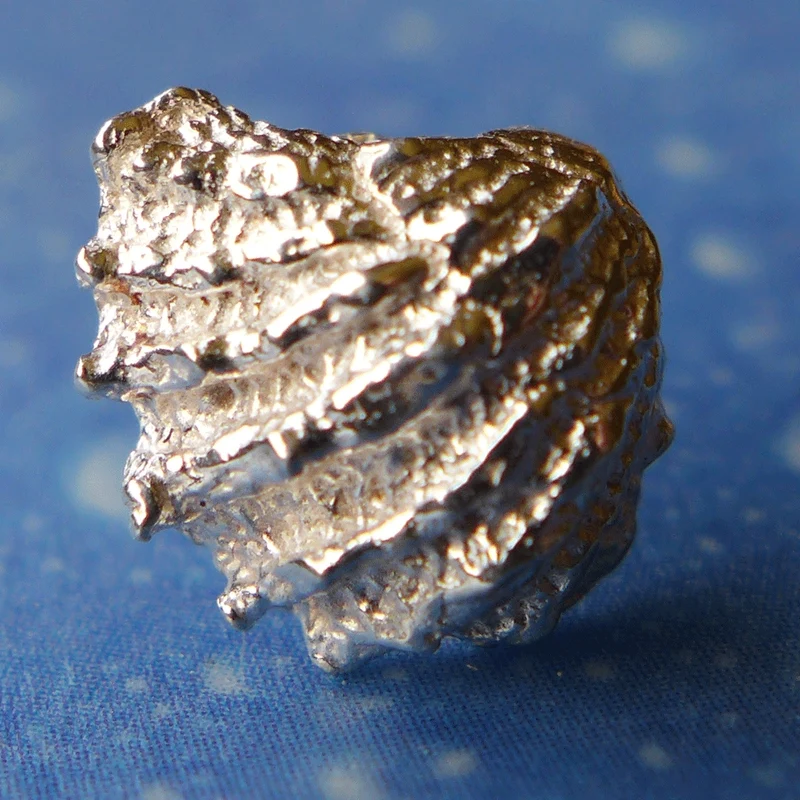 Maritimer Schmuck Ohrschmuck Fächermuschel s