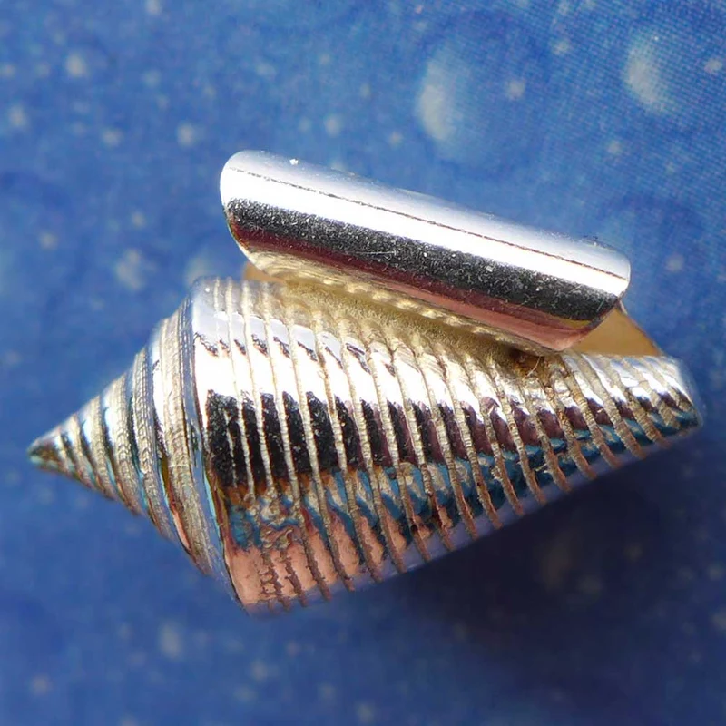 Maritimer Schmuck Kegelschnecke Anhänger