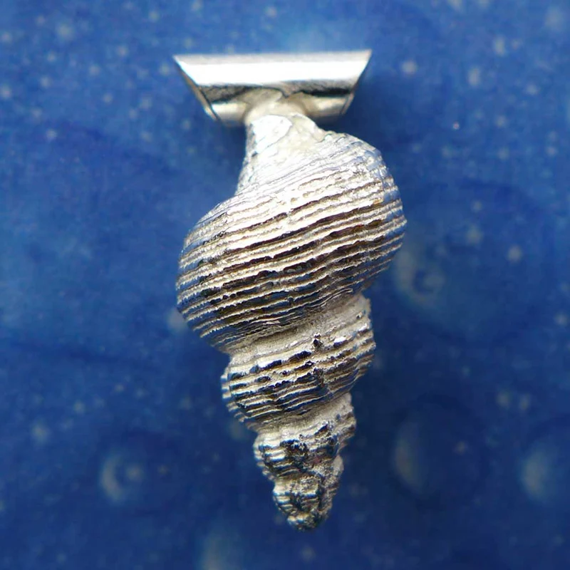 Latiaxis Anhänger Schnecke