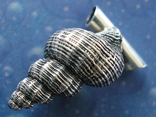 Latiaxis Anhänger Schnecke