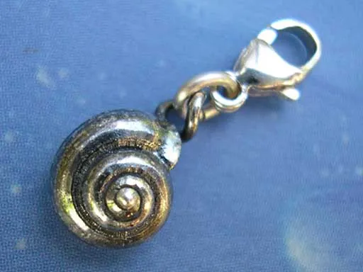 Längsgestreifte Knopfschnecke Charms mit Karabiner