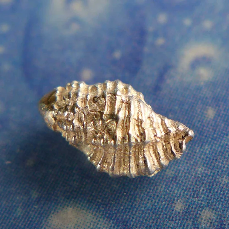 Lamellenschnecke Ohrstecker