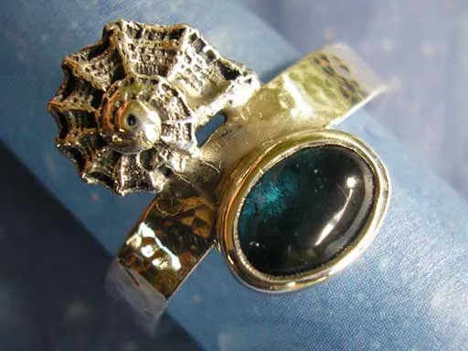 Kronenturbanschnecke mit Turmalin Ring