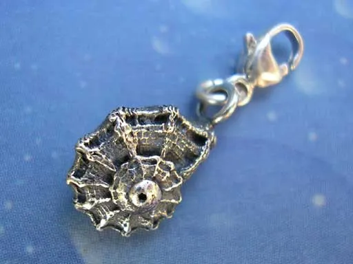 Kronenturbanschnecke medium Charms mit Karabiner