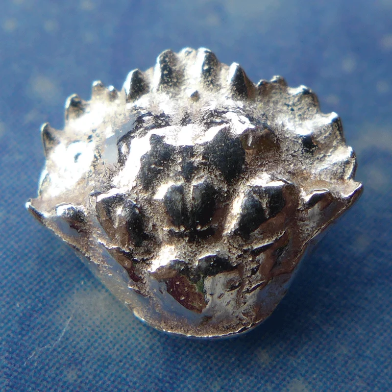 Krebs Krabbe Schmuck Ohrstecker Silber