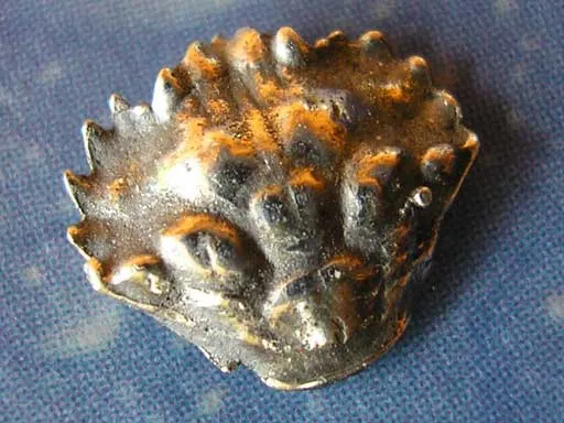 Krebs Krabbe Schmuck Ohrstecker Silber