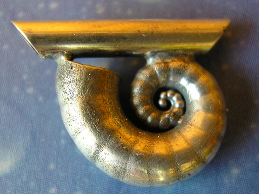 Kopffüßer Posthorn Schnecke Anhänger m