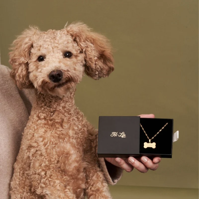 Puppy Gravur Kette 14K Vergoldet