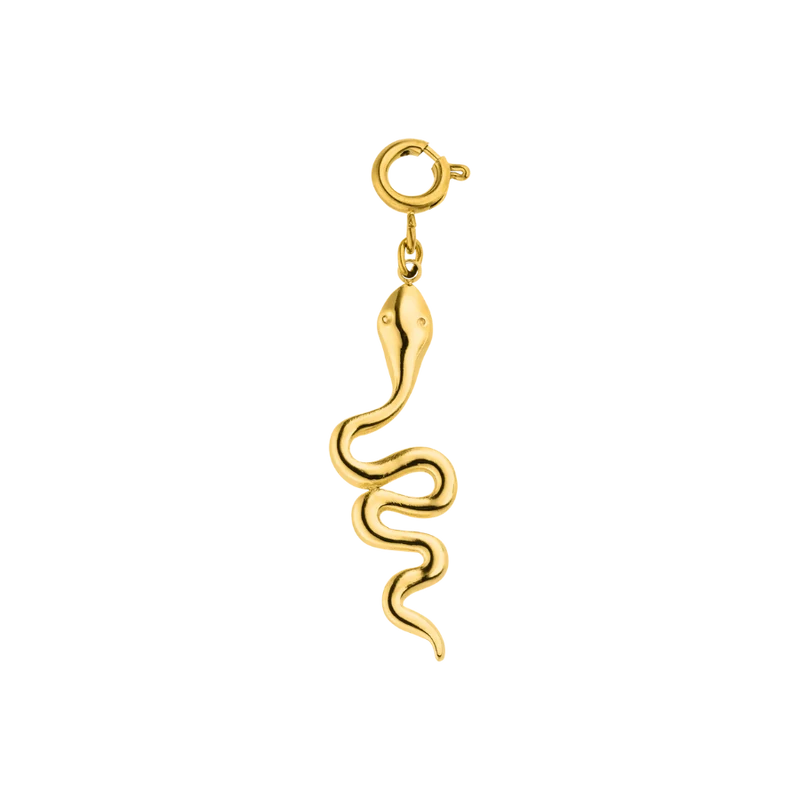 Everlasting Lucky Snake Charm