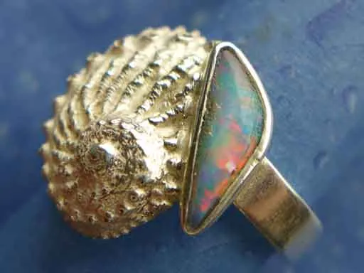 Hübsches Meerohr mit Opal Ring