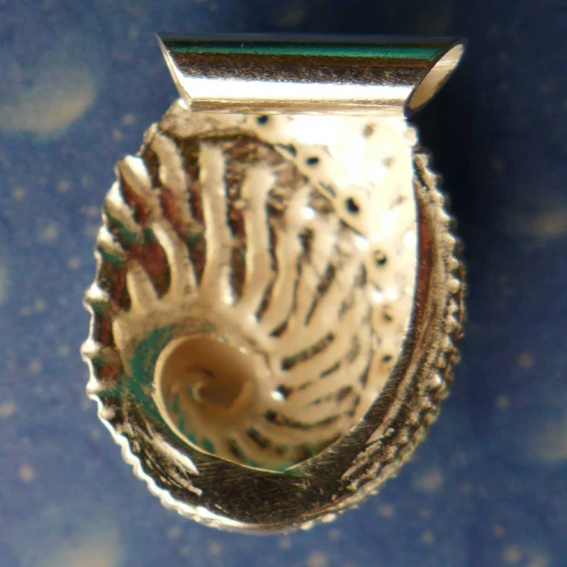 Hübsches Meerohr Anhänger Silber